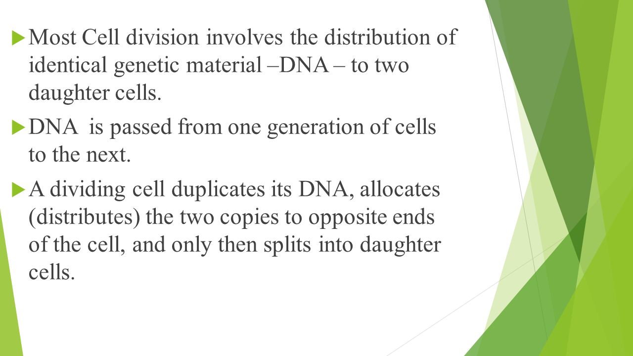 An introduction to the genetic material of cells